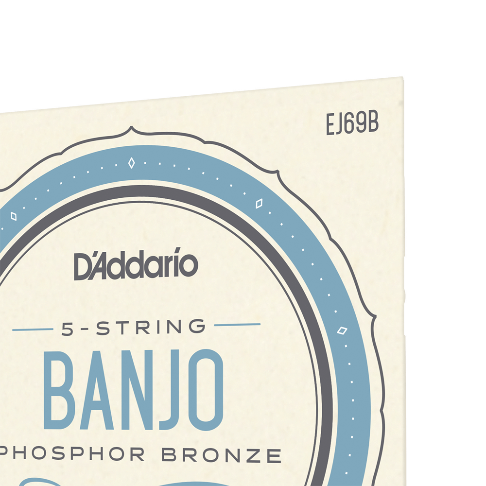 D'Addario EJ69 5-String Ball-End Banjo Strings, Phosphor Bronze, Light, 9-20