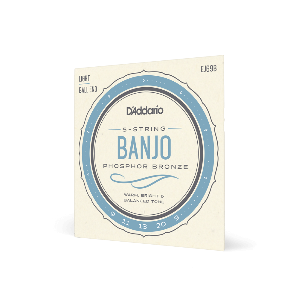 D'Addario EJ69 5-String Ball-End Banjo Strings, Phosphor Bronze, Light, 9-20
