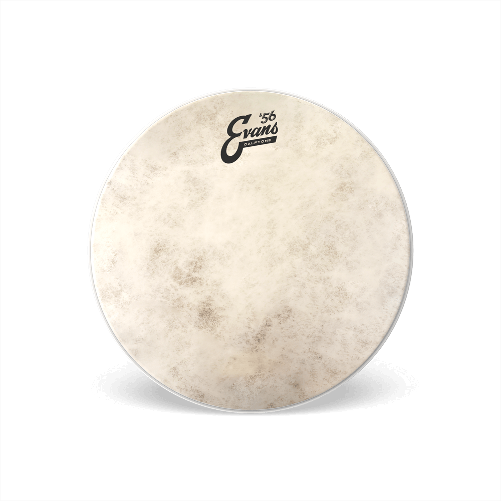 Evans CalftoneDrumheadr, 16 Inch