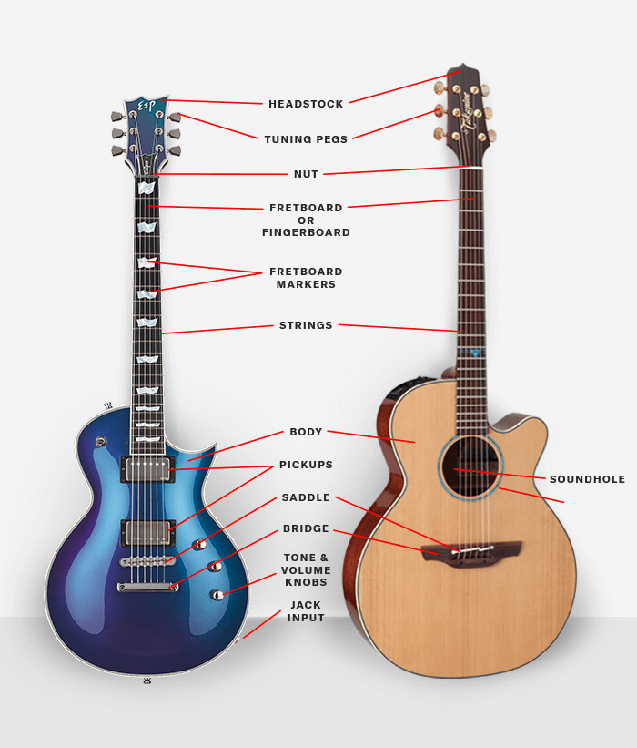 detailed anatomy of electric vs acoustic guitar