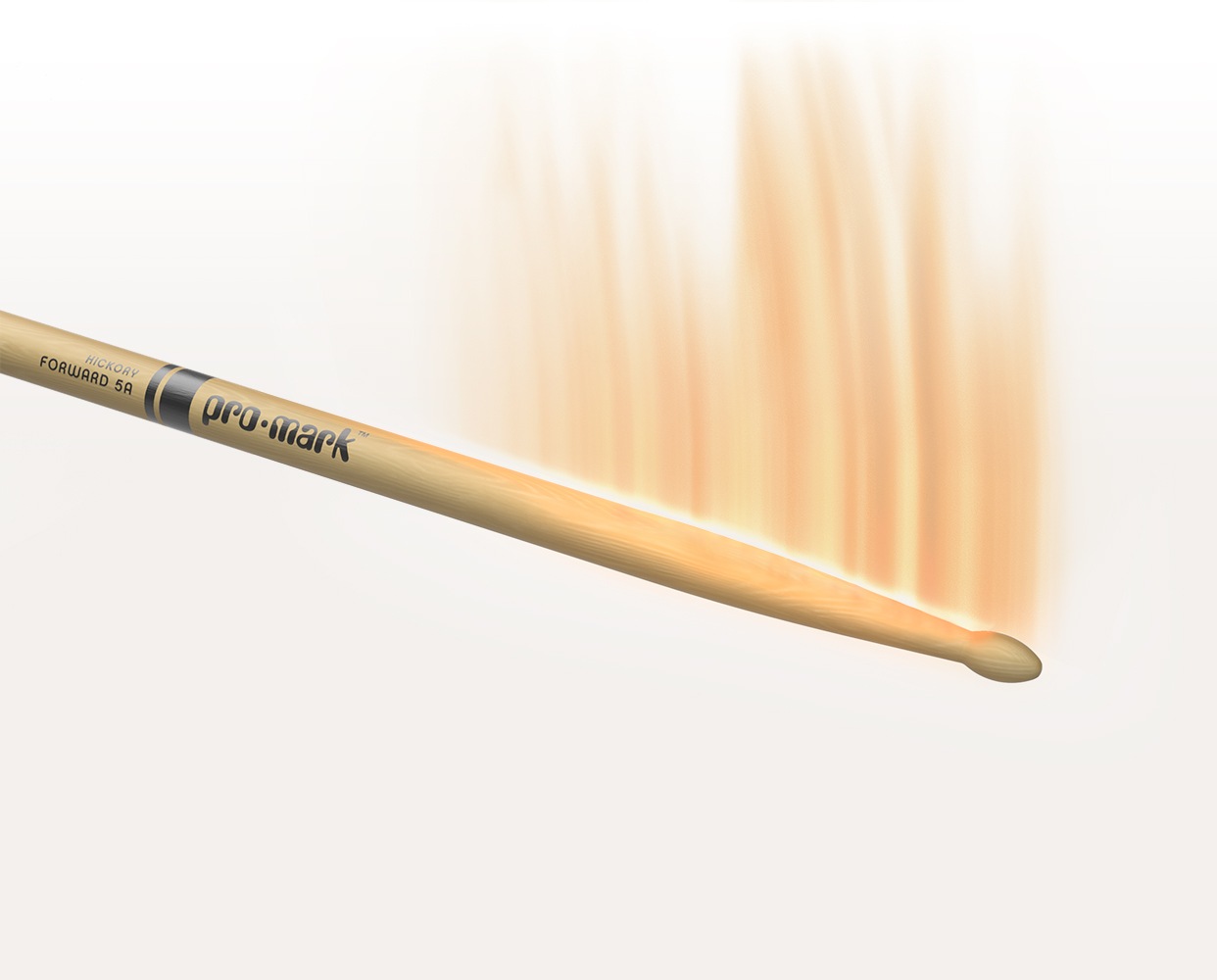 ProMark Hickory Forward 5A Drumstick 